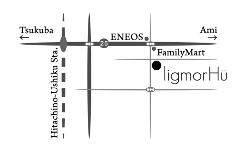 ligmorhu_map